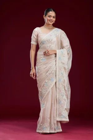 Beige Zariwork Tissue Saree