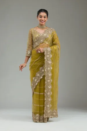 Mehendi Zariwork Tissue Saree