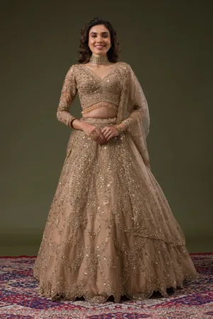 Beige Zariwork Net Readymade Lehenga