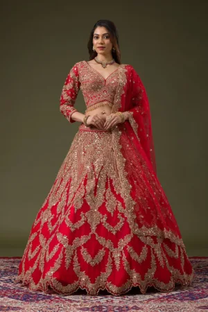 Red Zariwork Net Readymade Lehenga