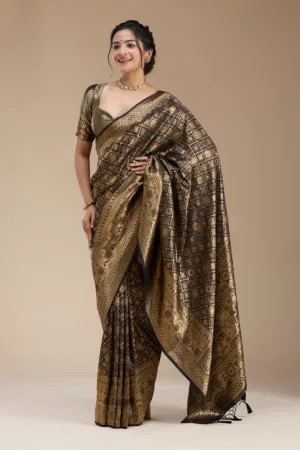 Black Banarasi Silk Saree